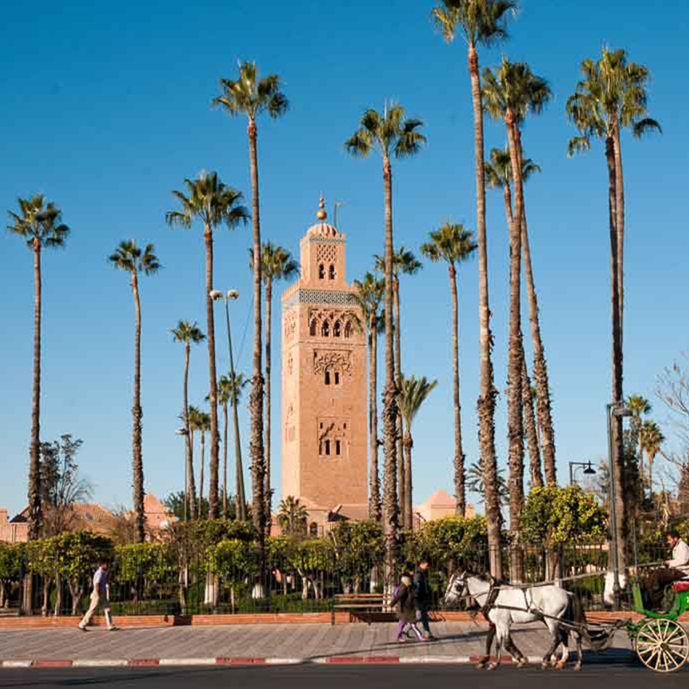 Grand Tour du Maroc – Image 2